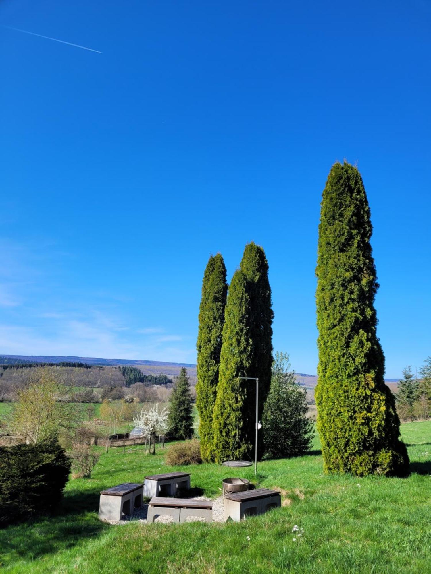 Wilder Hunsrueck Schmissberg